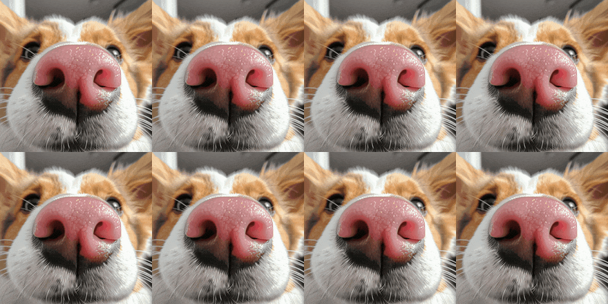 Logo of Candidates for the  Directoire